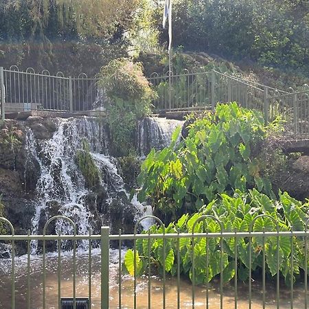 צימר יערת הדבש Hagoshrim Dış mekan fotoğraf